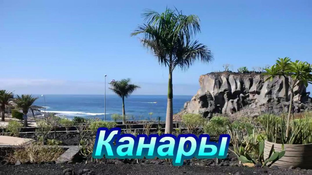 Канары