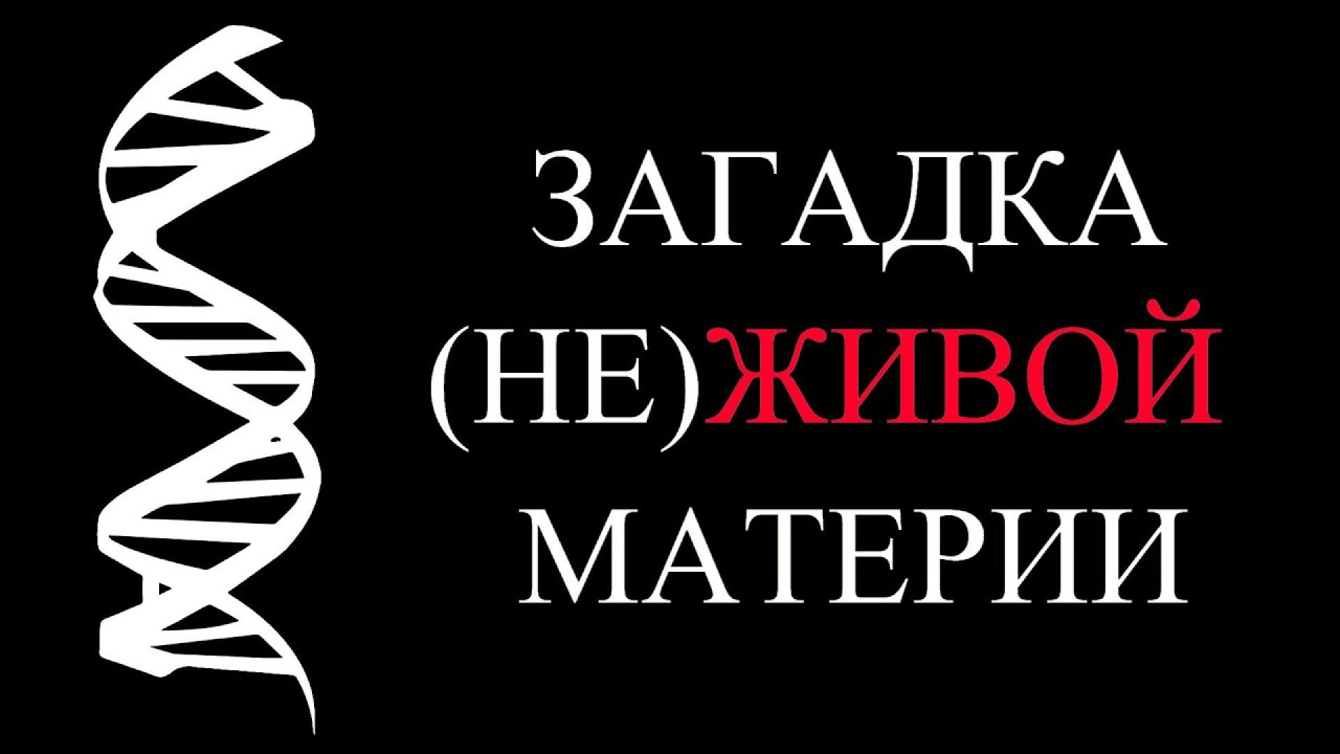 ⁣Ген, меняющий законы физики | Почему жизнь фундаментальна | ALI