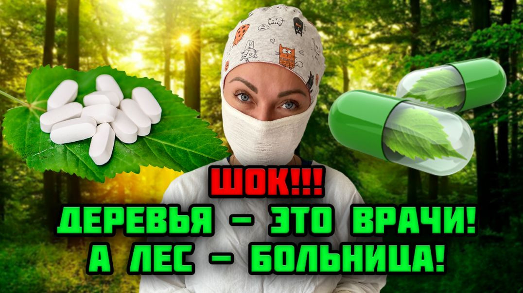 ⁣Как лечат деревья?