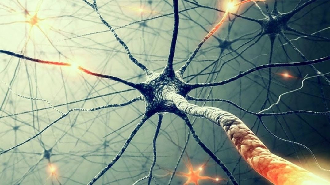 ⁣Тайны сознания: Бог в нейронах
