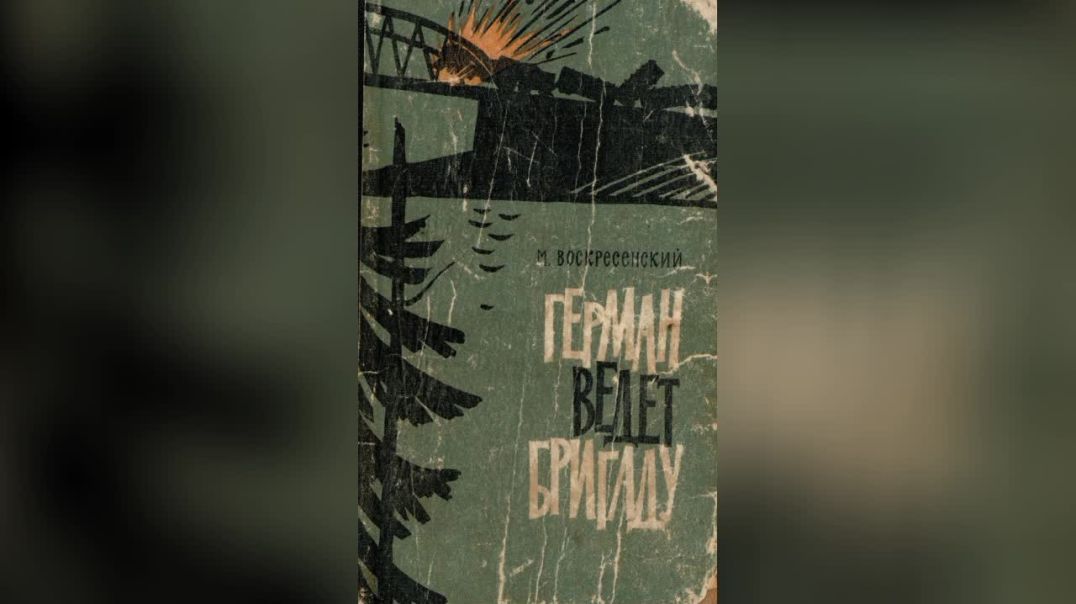 Книги о советских партизанах