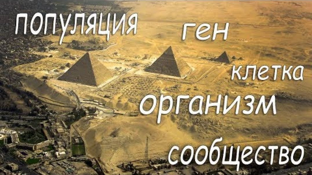 ⁣Иерархический анализ пирамид Египта | Пирамиды и время (2018)