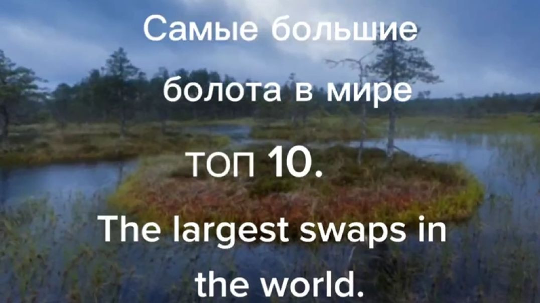 ⁣Самые большие болота в мире. Топ 10.