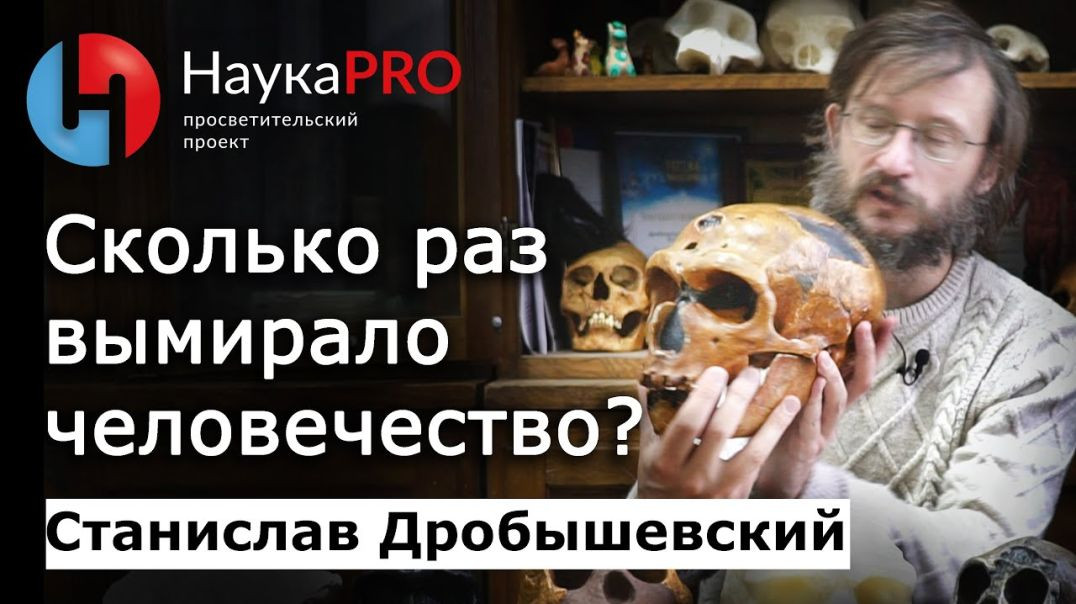 ⁣Сколько раз вымирало человечество? – Станислав Дробышевский | Научпоп | Лекции по антропологии