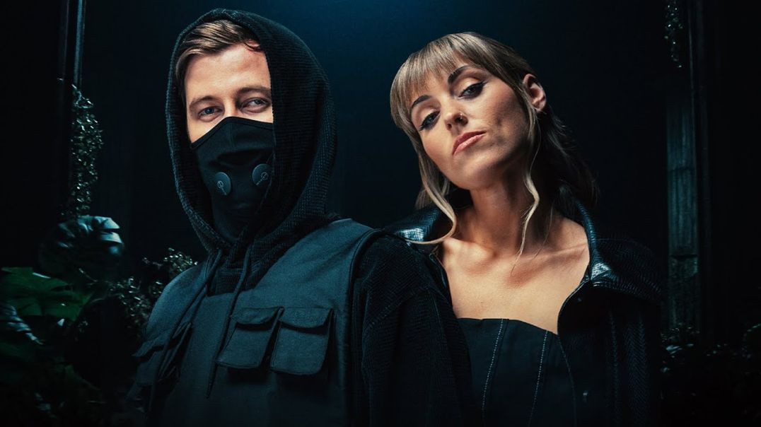 ⁣Alan Walker & Sasha Alex Sloan - Hero